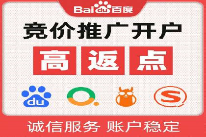 SEM外包服务应用案例分析